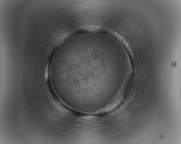 X0000098210069200805011220