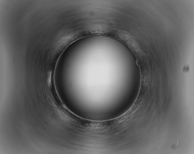 X0000098210070200805011220