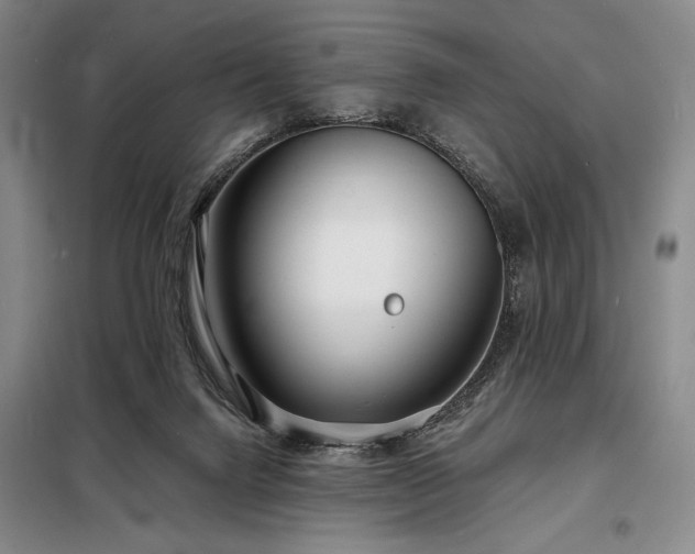 X0000098210072200805011220