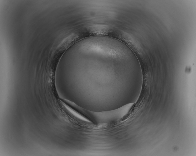 X0000098210073200805011220