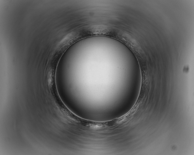 X0000098210074200805011220