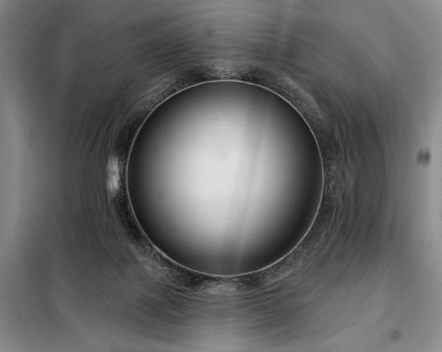 X0000098210075200805011220