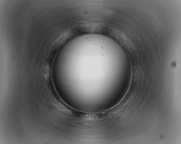 X0000098210077200805011220