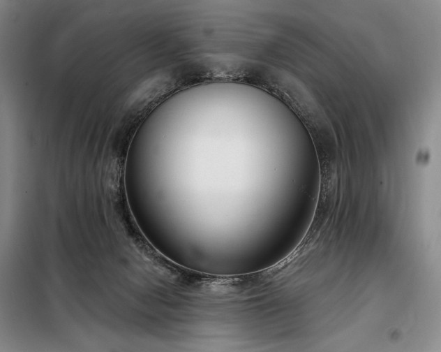 X0000098210078200805011220