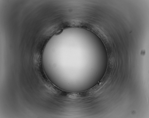 X0000098210079200805011221