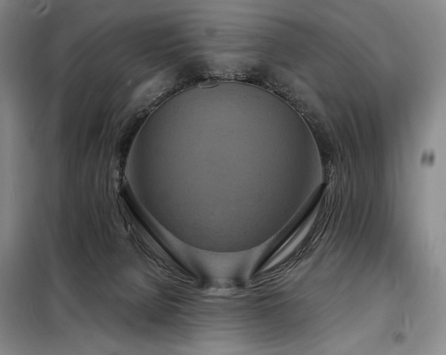X0000098210080200805011221
