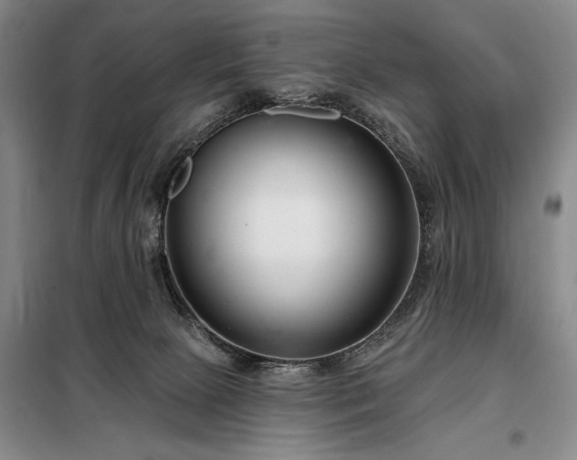 X0000098210081200805011221