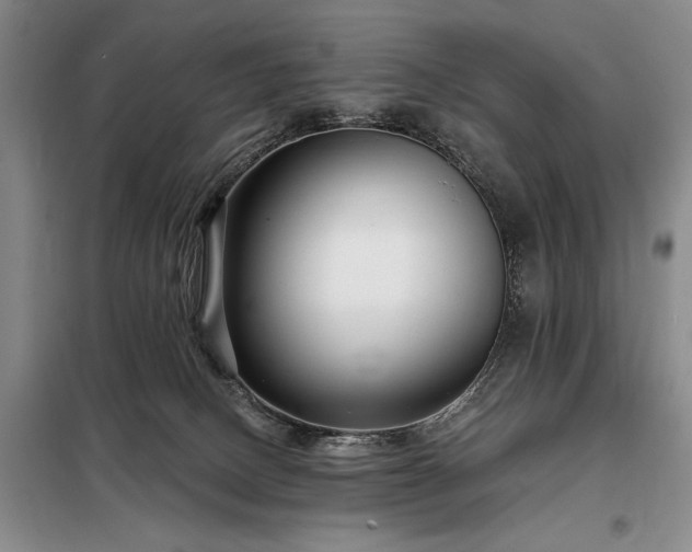 X0000098210082200805011221