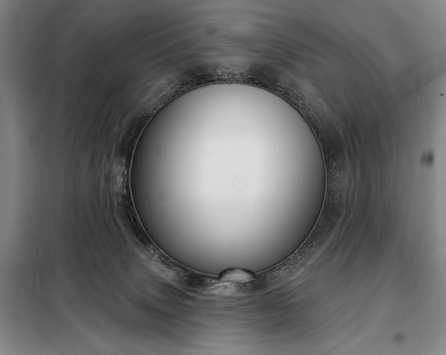 X0000098210083200805011221