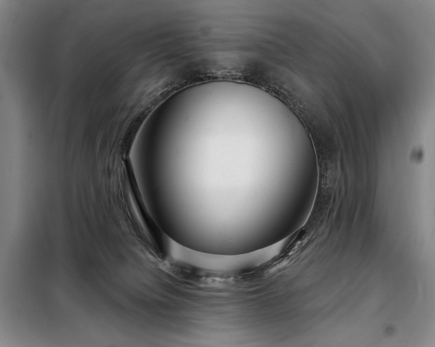 X0000098210084200805011221