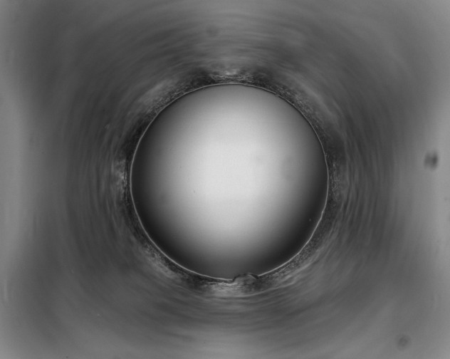 X0000098210085200805011221