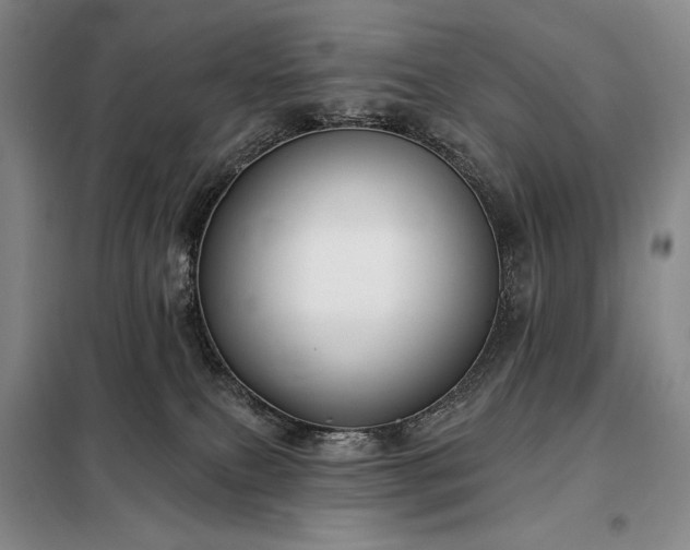 X0000098210087200805011221
