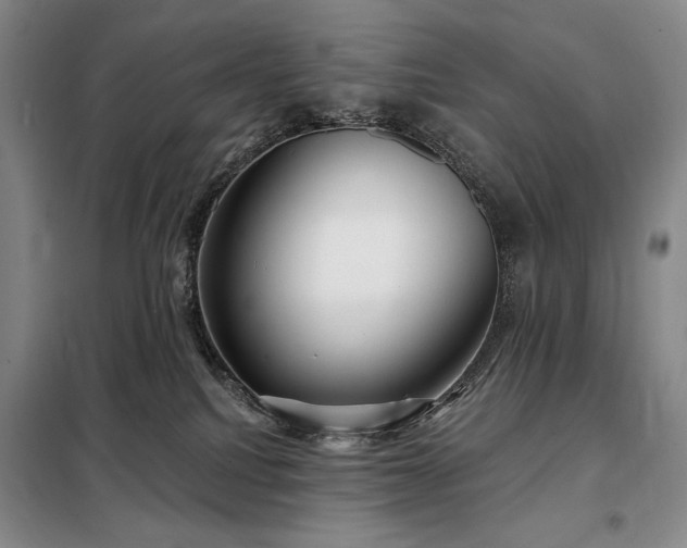 X0000098210088200805011221