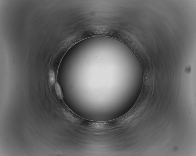 X0000098210089200805011221