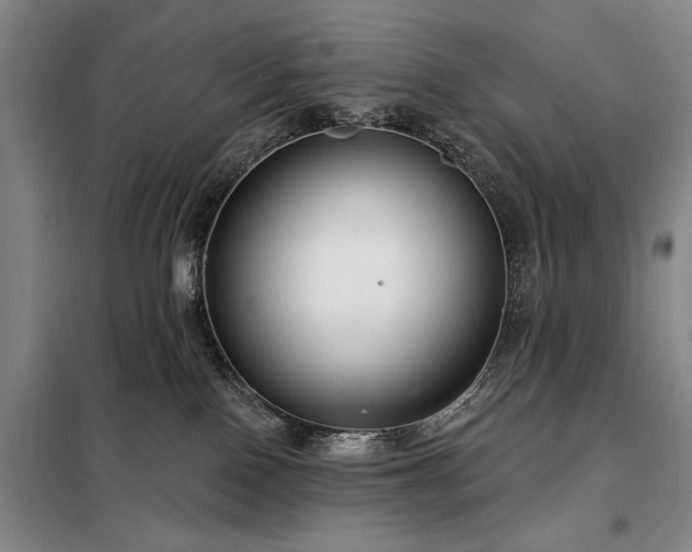 X0000098210090200805011221