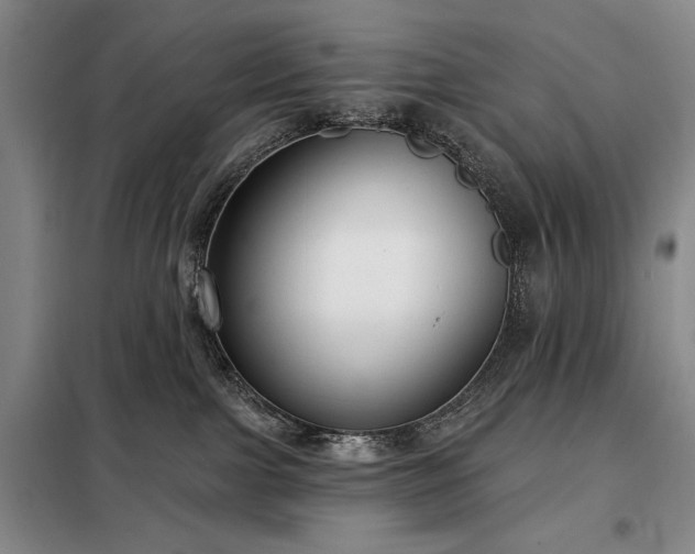 X0000098210091200805011221