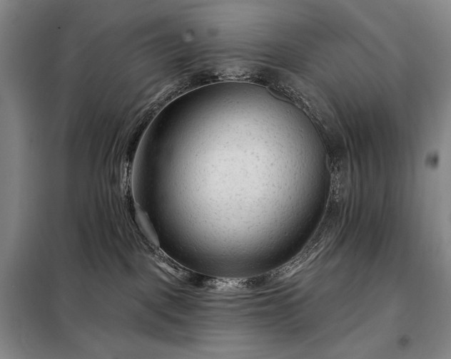 X0000098210093200805011221