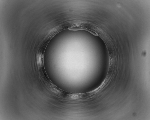 X0000098210094200805011221
