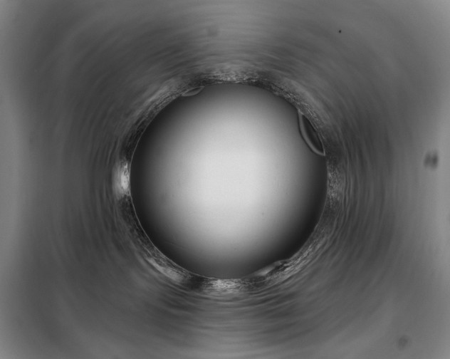 X0000098210095200805011221