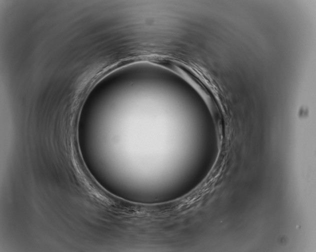 X0000098210097200805011220