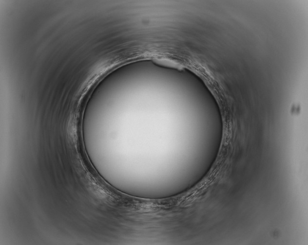 X0000098210098200805011220