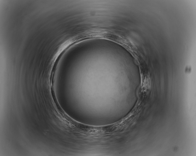 X0000098210099200805011220