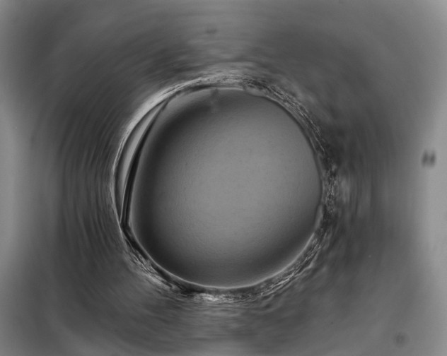 X0000098210100200805011220