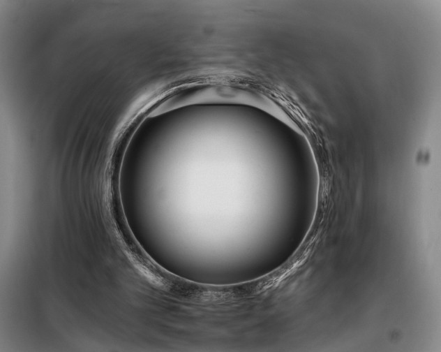 X0000098210101200805011220