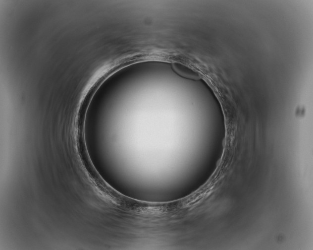X0000098210102200805011220