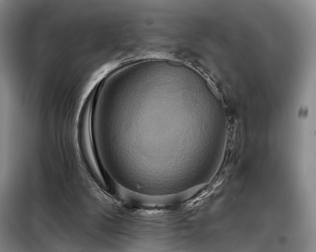X0000098210104200805011220
