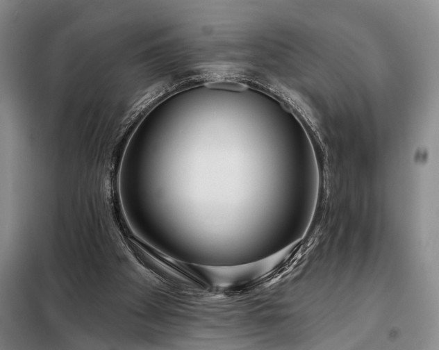 X0000098210105200805011220