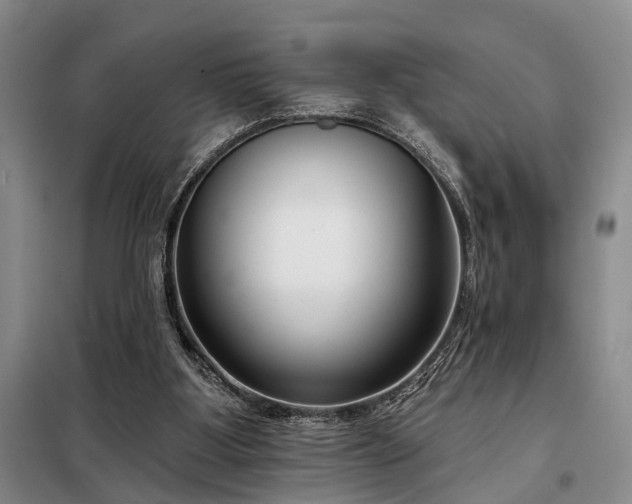 X0000098210107200805011220