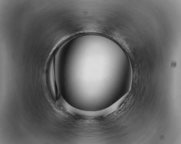 X0000098210108200805011220