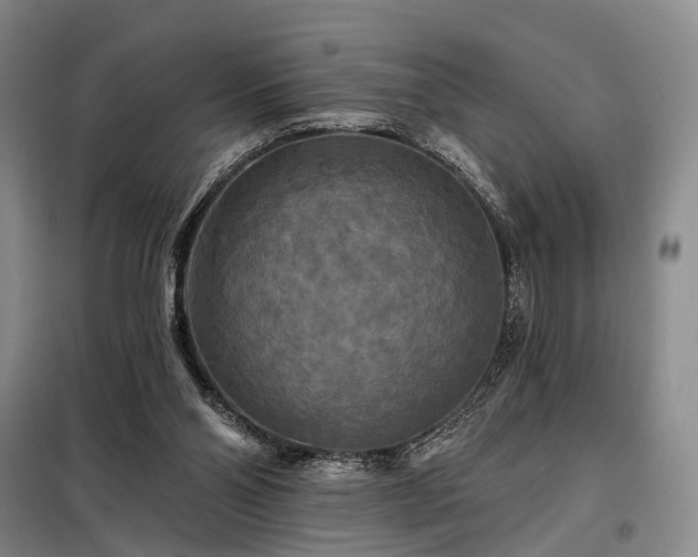 X0000098210110200805011220