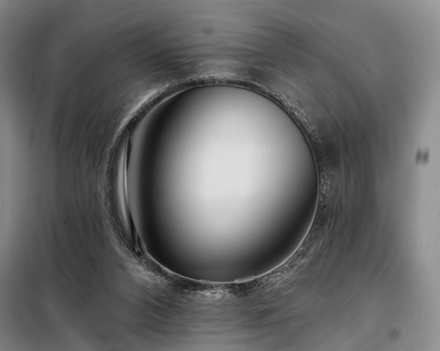 X0000098210112200805011220