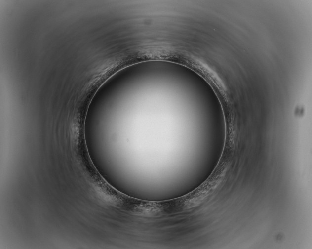 X0000098210113200805011220