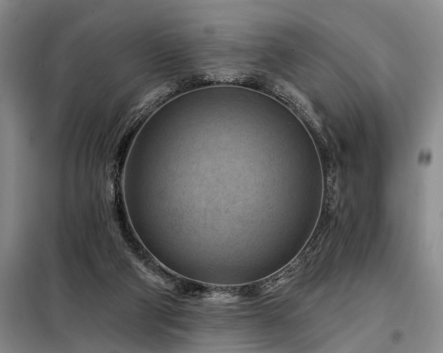 X0000098210114200805011220