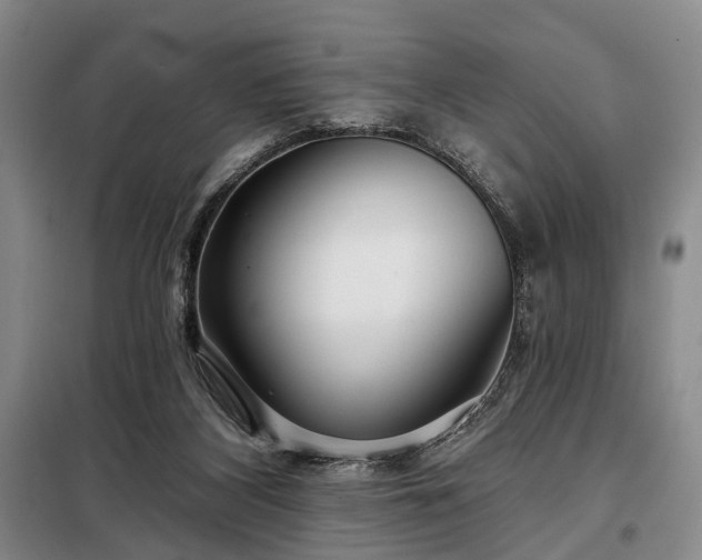 X0000098210116200805011220