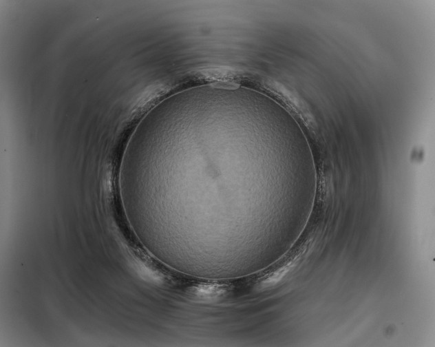 X0000098210117200805011220