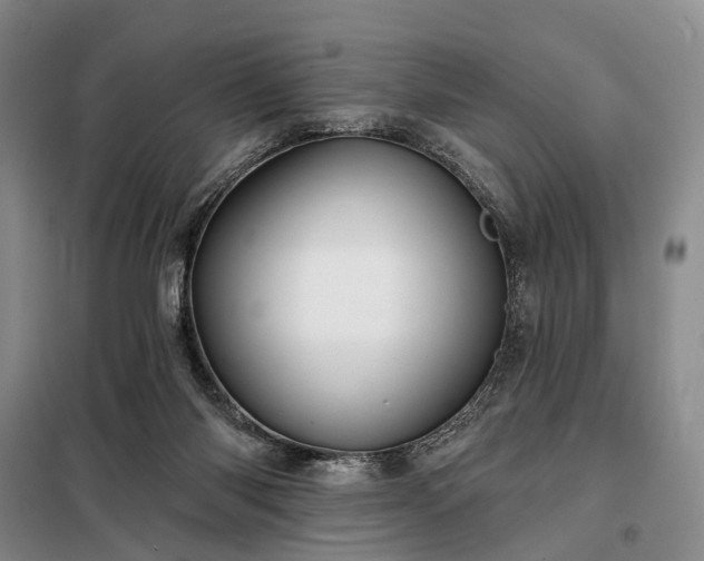 X0000098210118200805011220