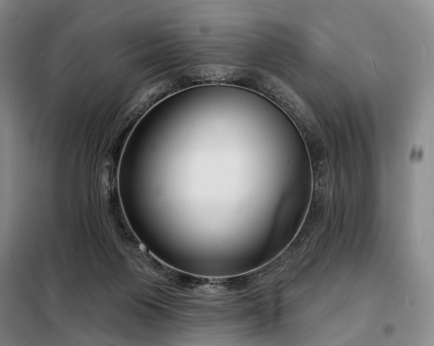 X0000098210119200805011220