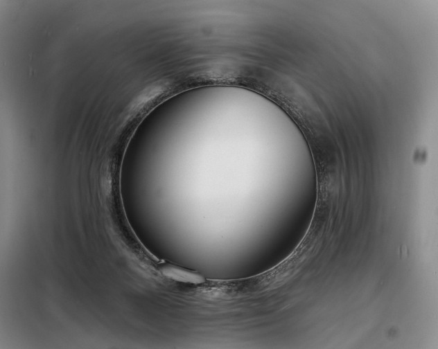 X0000098210120200805011220