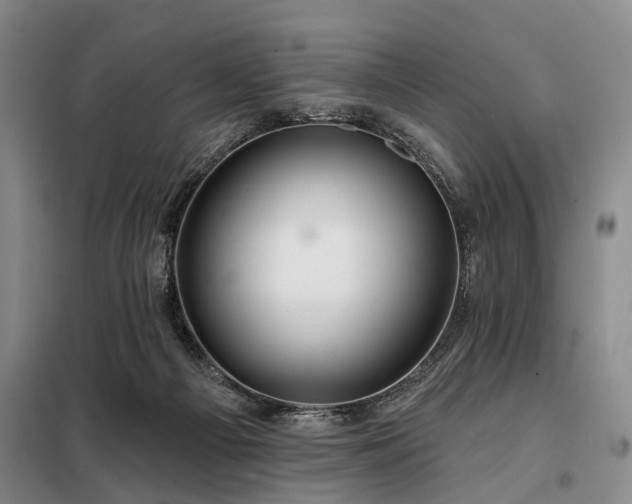 X0000098210121200805011220