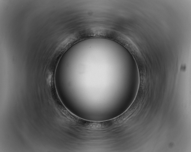 X0000098210123200805011220