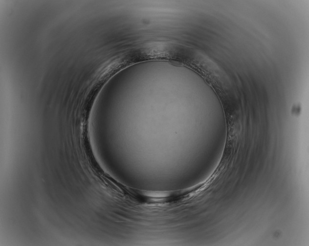 X0000098210124200805011220