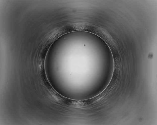 X0000098210125200805011220