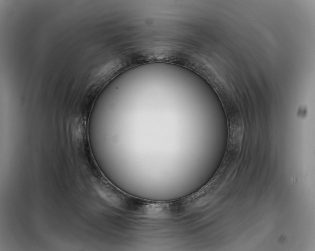 X0000098210126200805011220