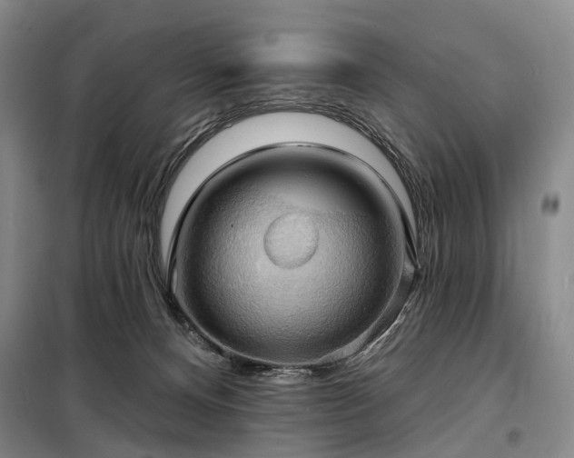 X0000098210128200805011219