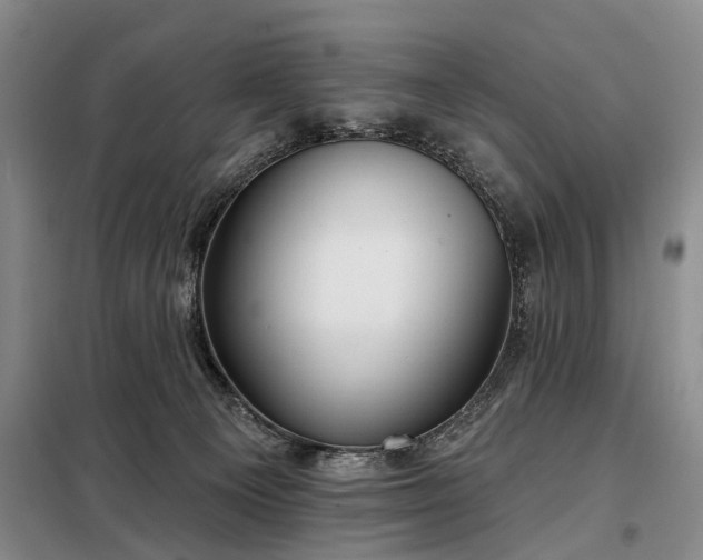 X0000098210129200805011219
