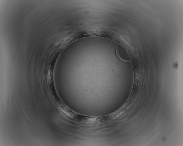 X0000098210130200805011219